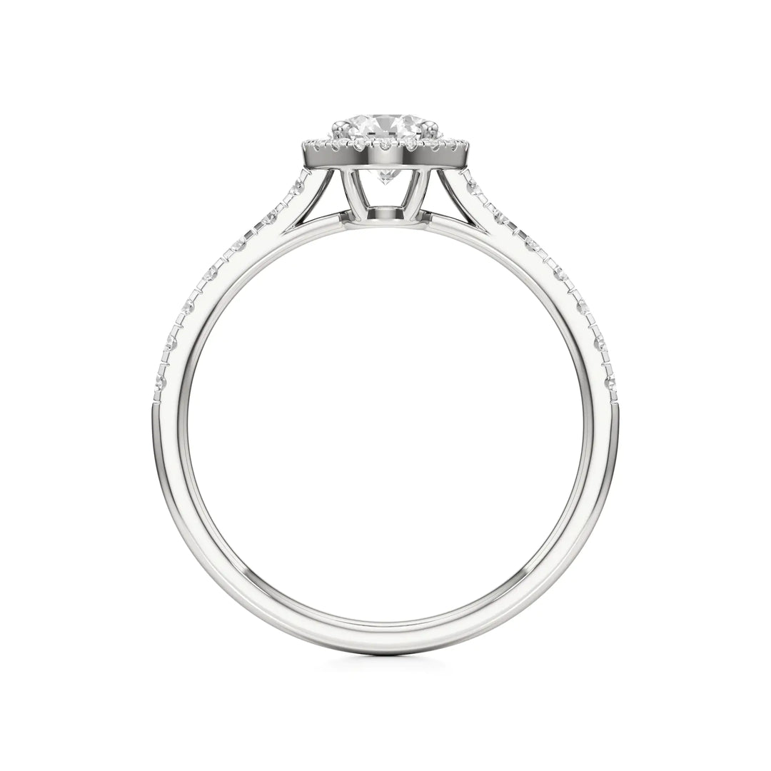 White-Gold