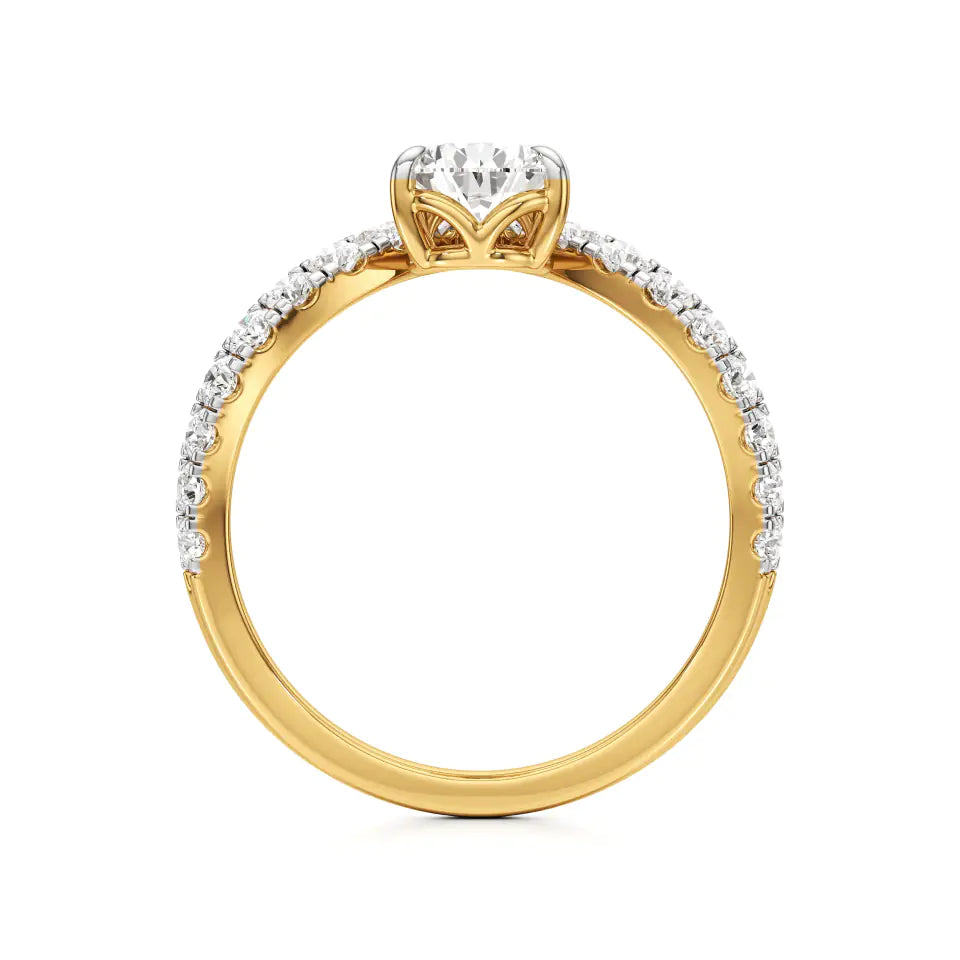Yellow-Gold