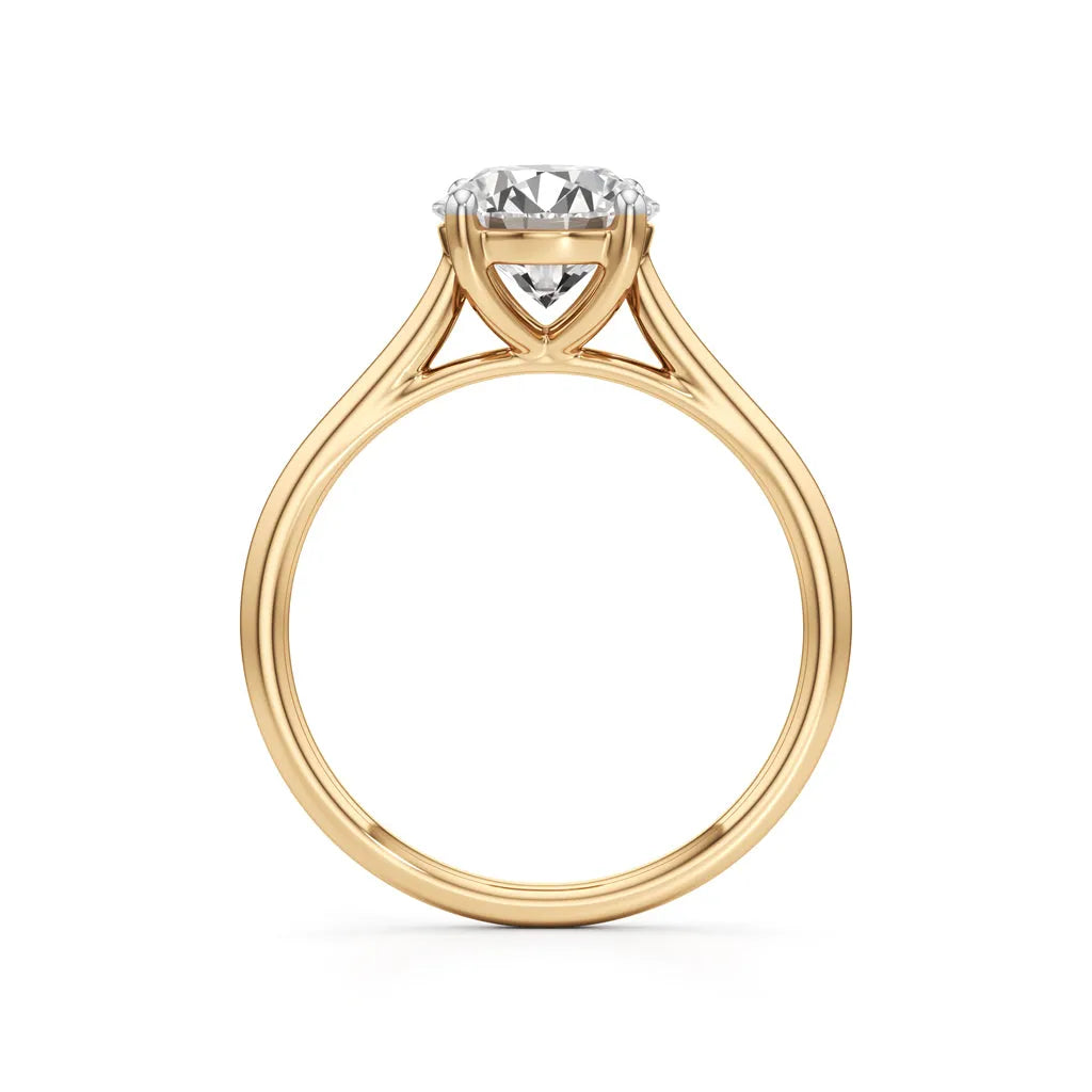 Yellow-Gold